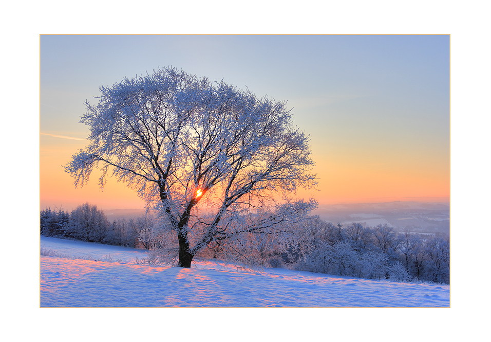 Wintermorgen