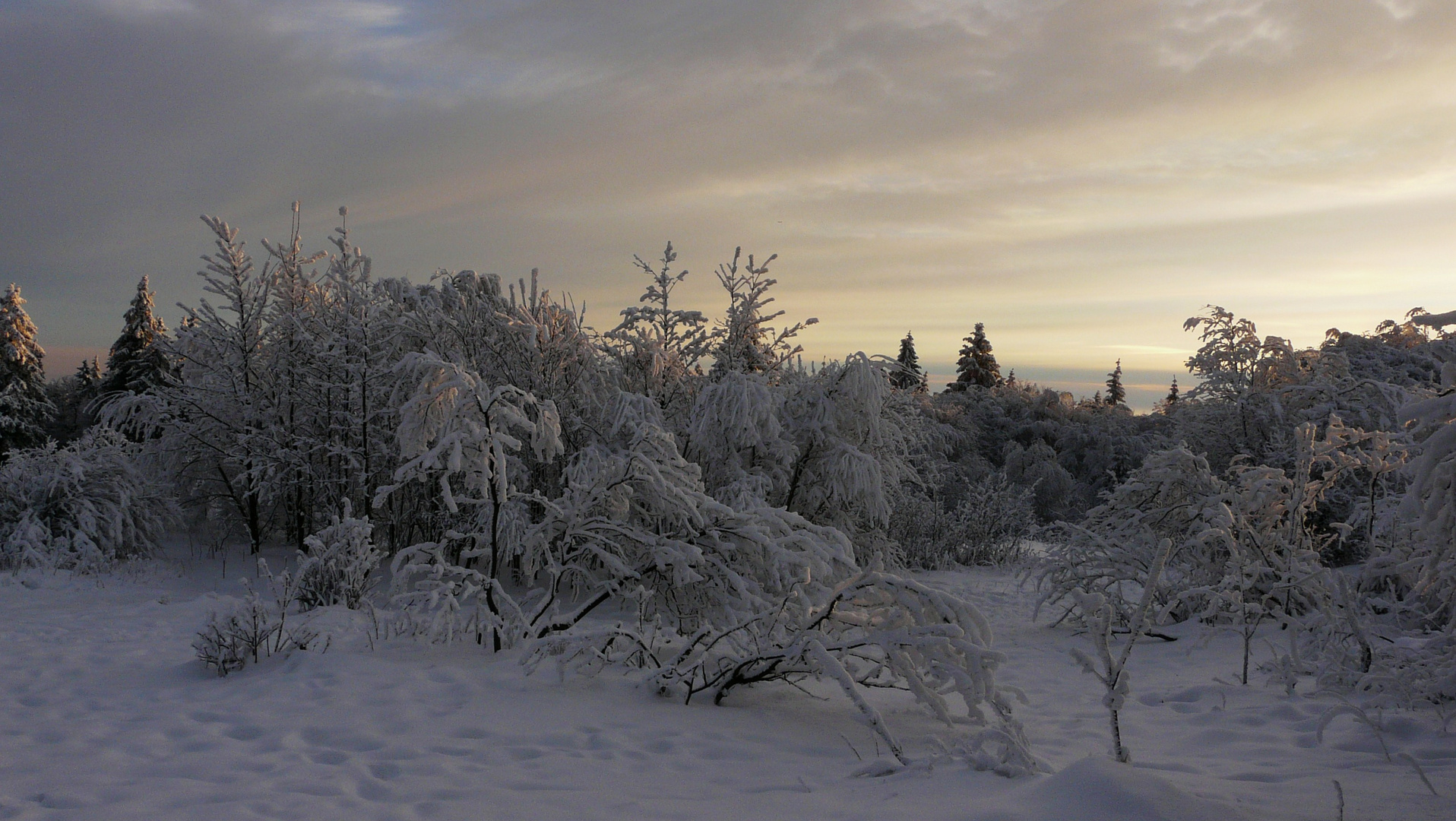 Wintermorgen