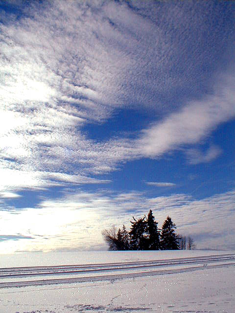 Wintermorgen