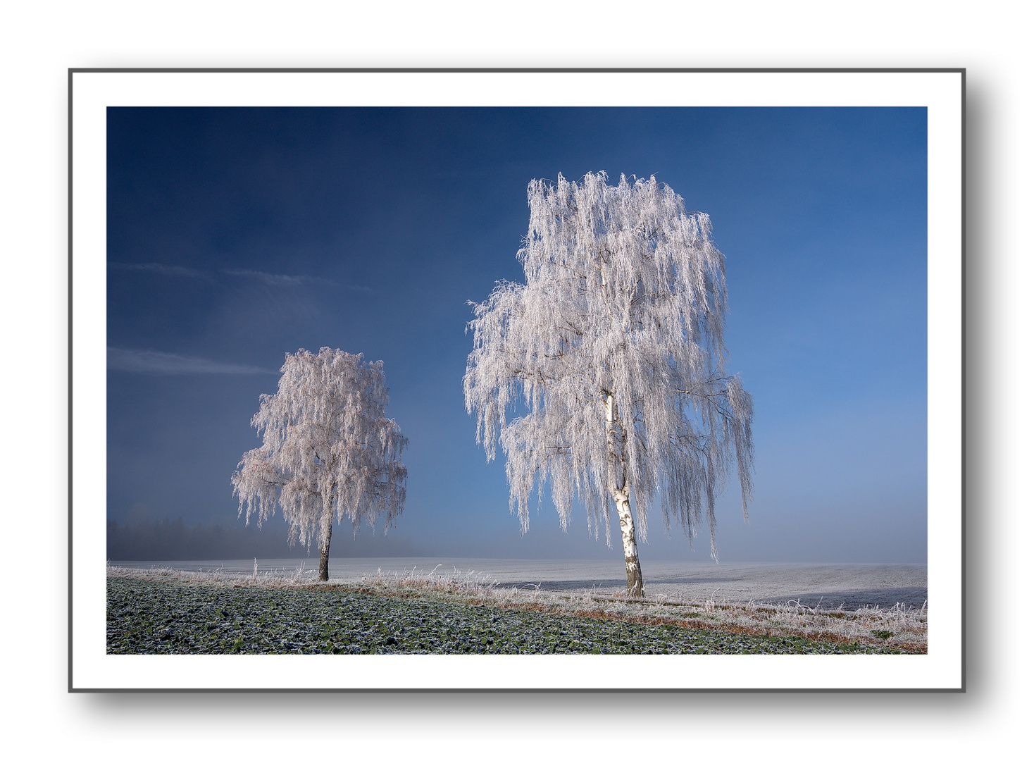 Wintermorgen