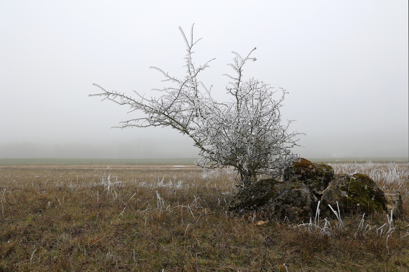 Wintermorgen