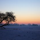 Wintermorgen 2