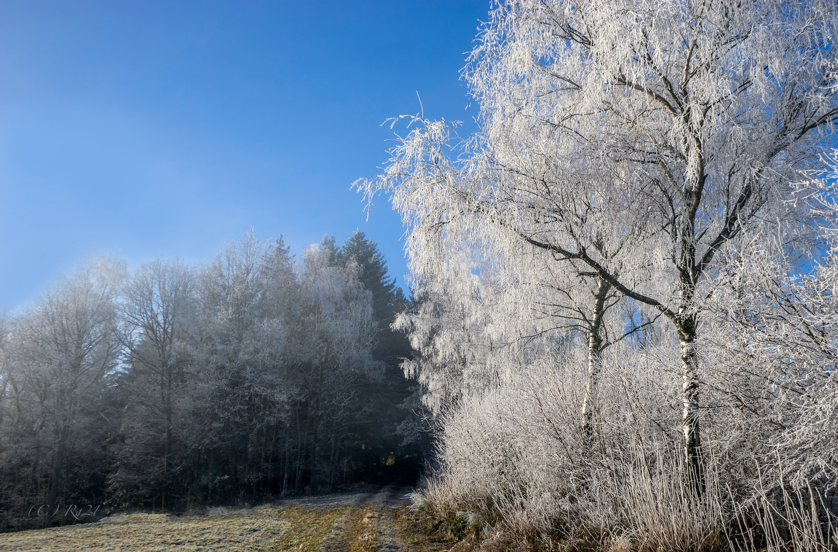 wintermorgen 2 