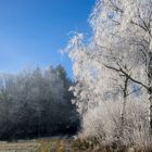 wintermorgen 2 