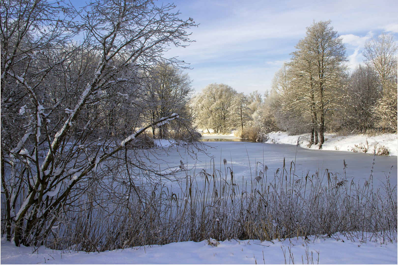 Wintermorgen (2)