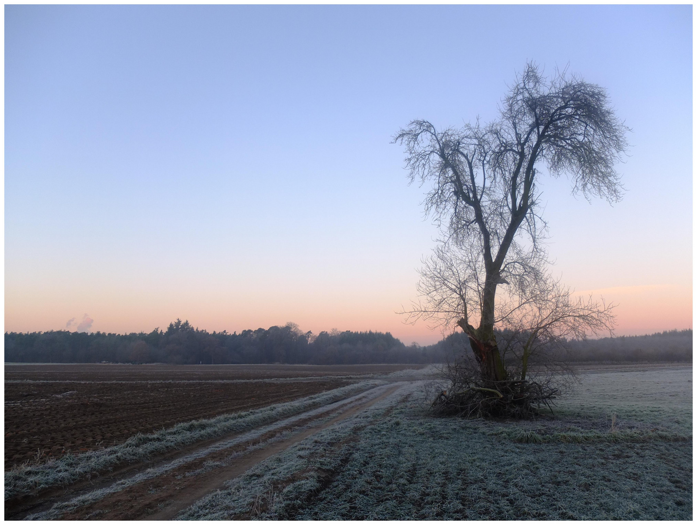 Wintermorgen 2