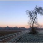 Wintermorgen 2