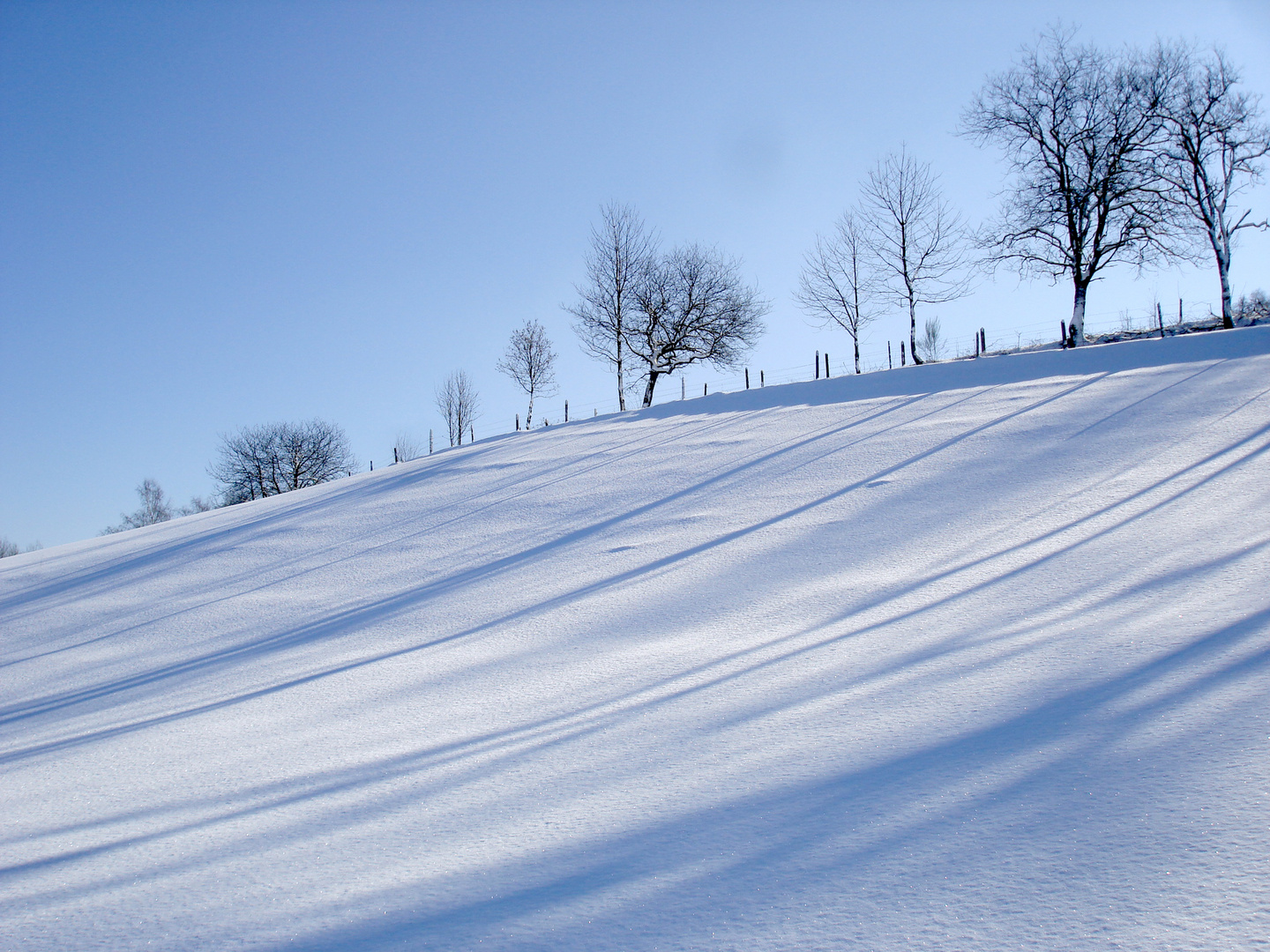 Wintermorgen (2)