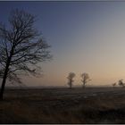 Wintermorgen #2 ...