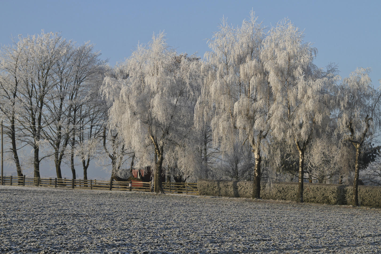 Wintermorgen 2