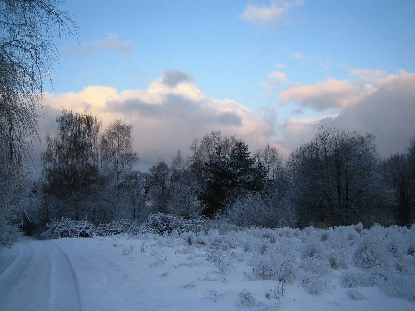 Wintermorgen 2