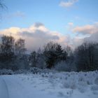 Wintermorgen 2