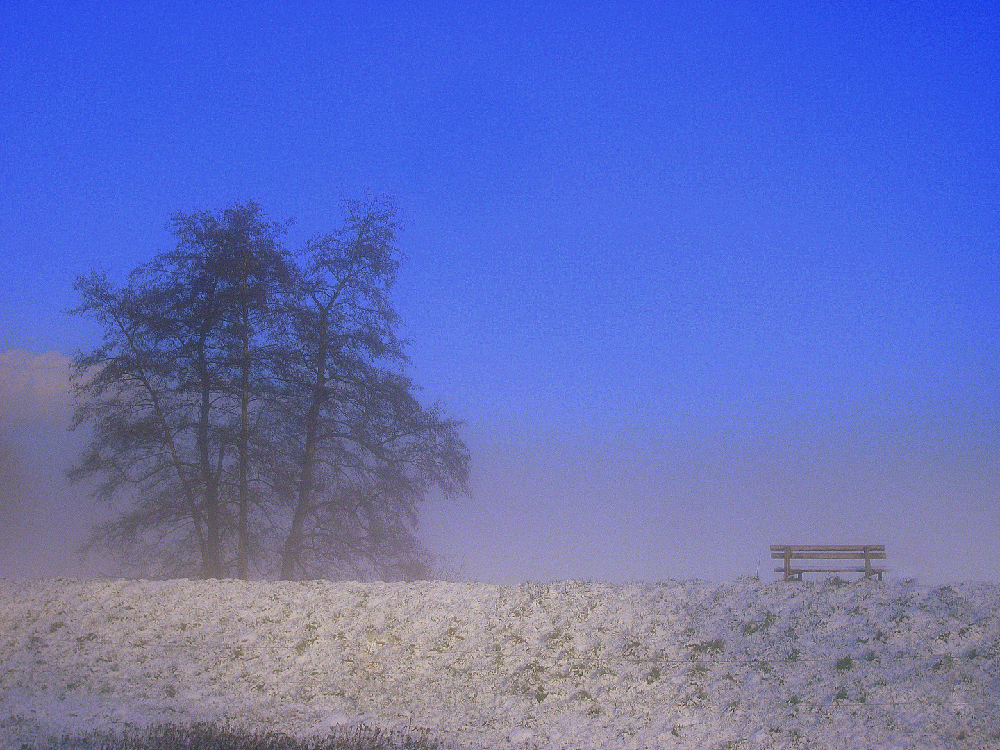 Wintermorgen 2014