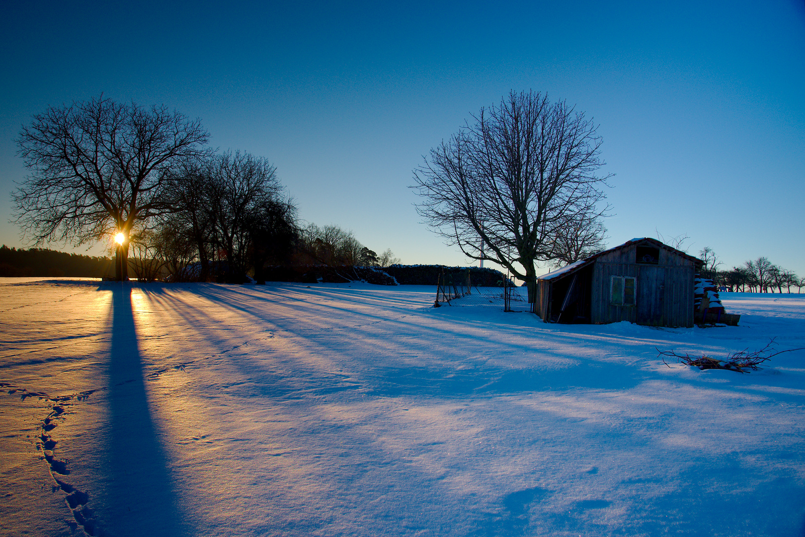 Wintermorgen