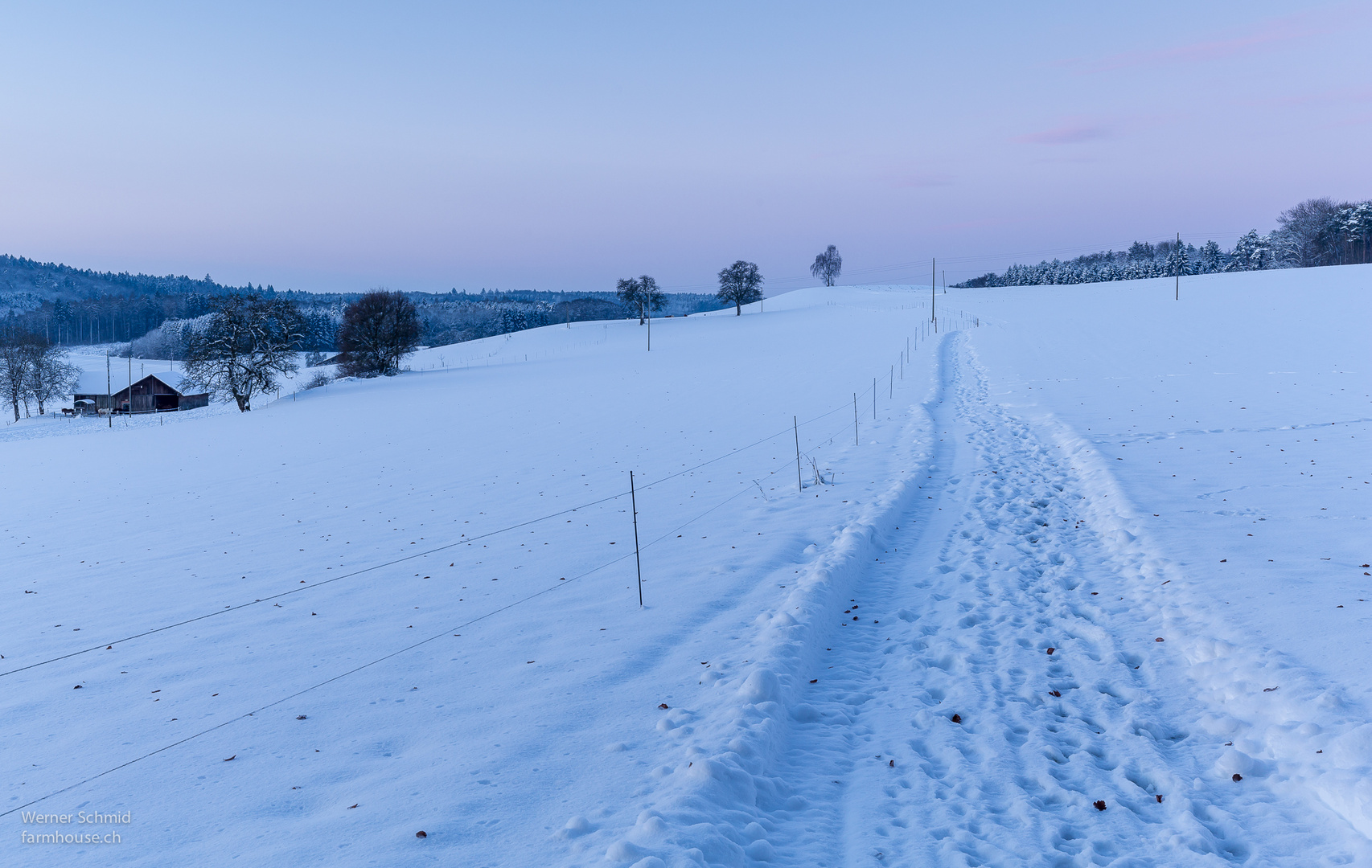 Wintermorgen