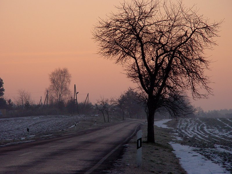 Wintermorgen