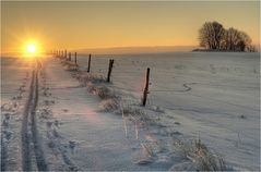 Wintermorgen