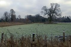 Wintermorgen