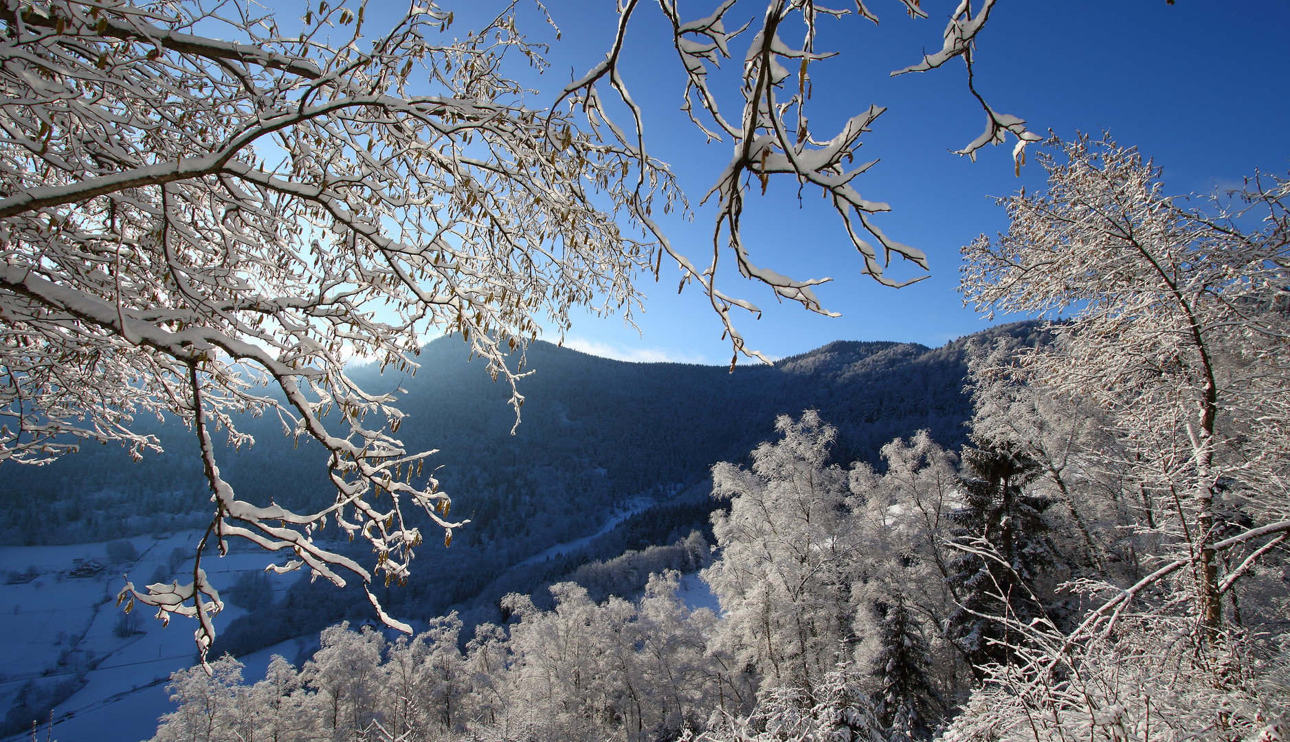 Wintermorgen