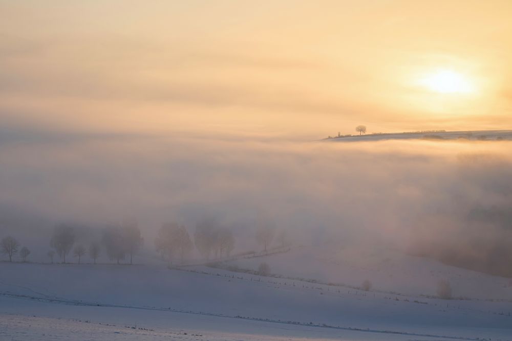 Wintermorgen