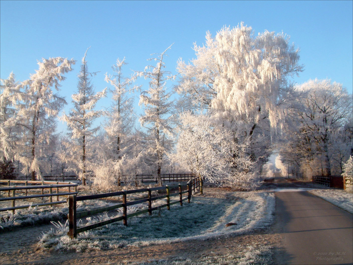 Wintermorgen