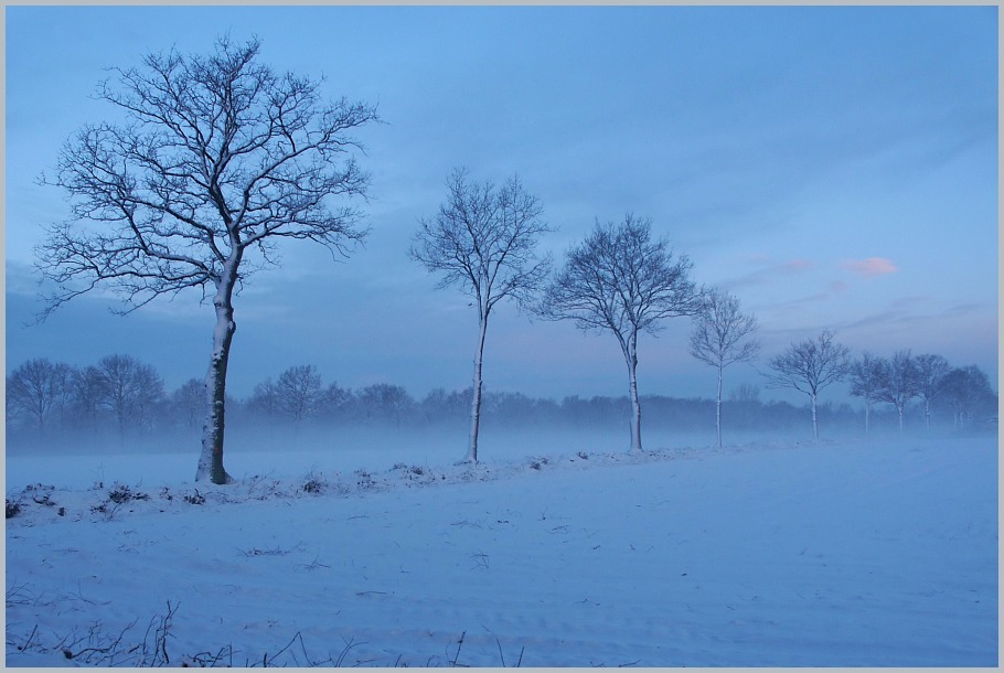 Wintermorgen (3)