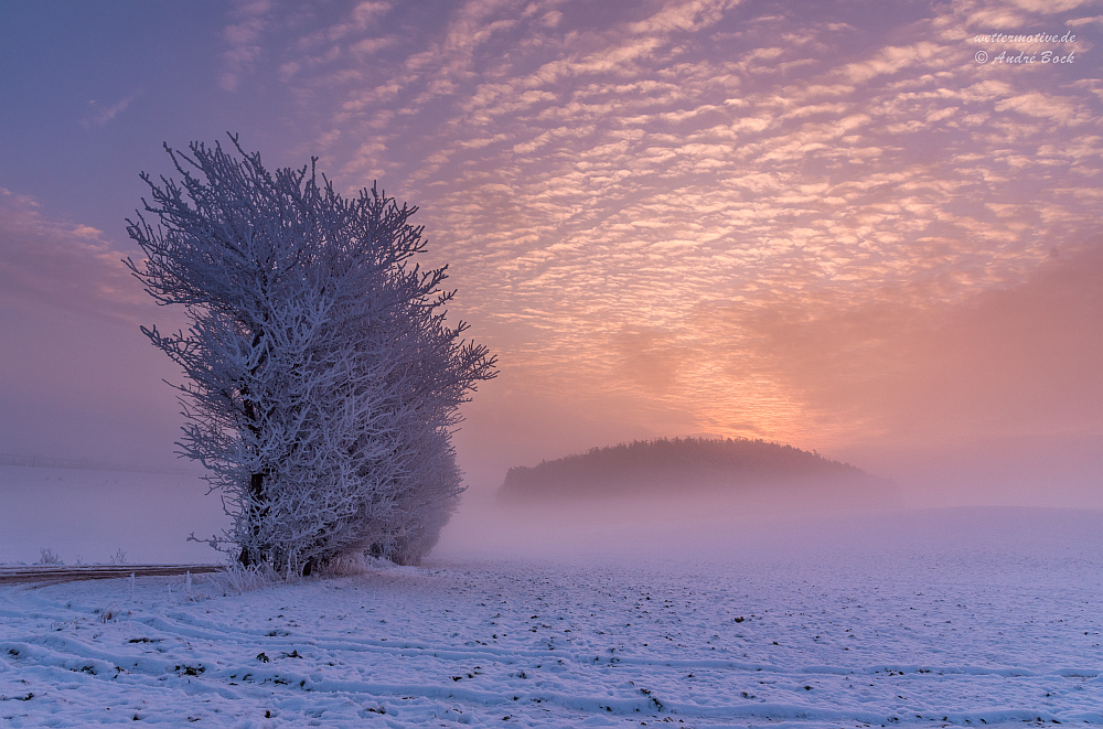 Wintermorgen