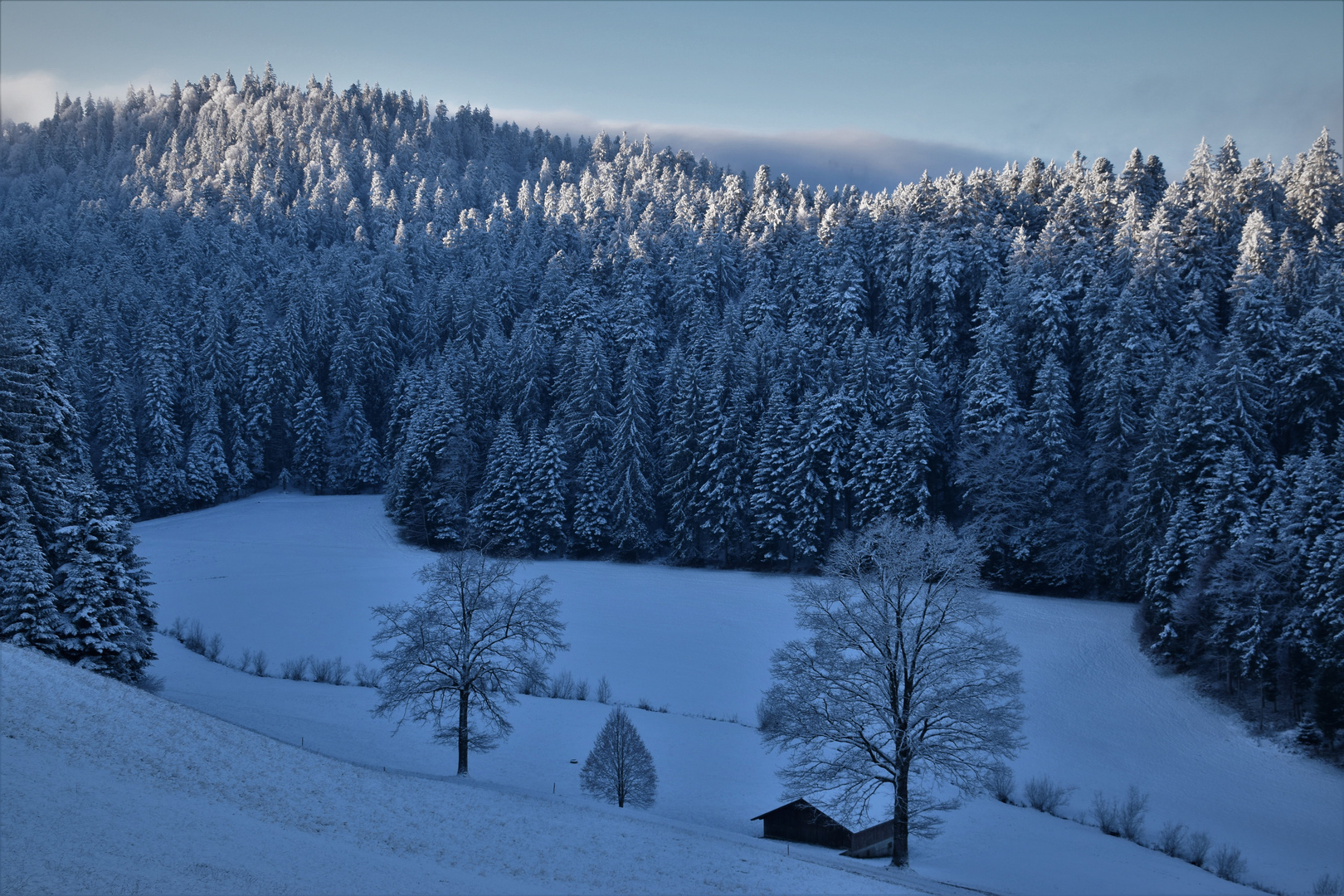 Wintermorgen