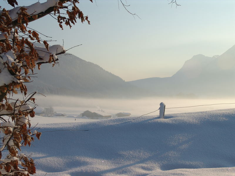 Wintermorgen