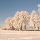 Wintermorgen