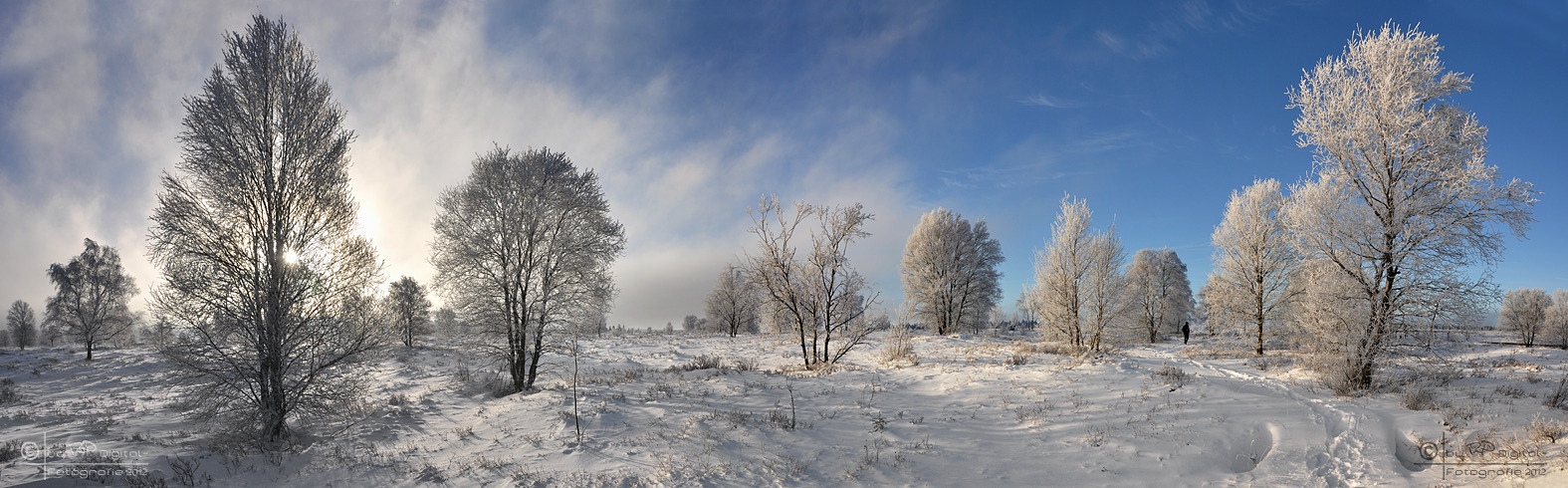 Wintermorgen