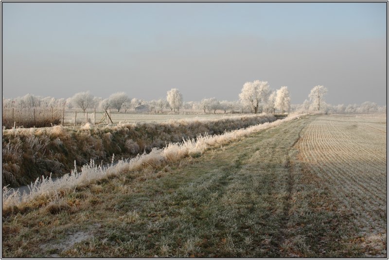 Wintermorgen 4