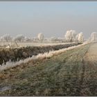 Wintermorgen 4