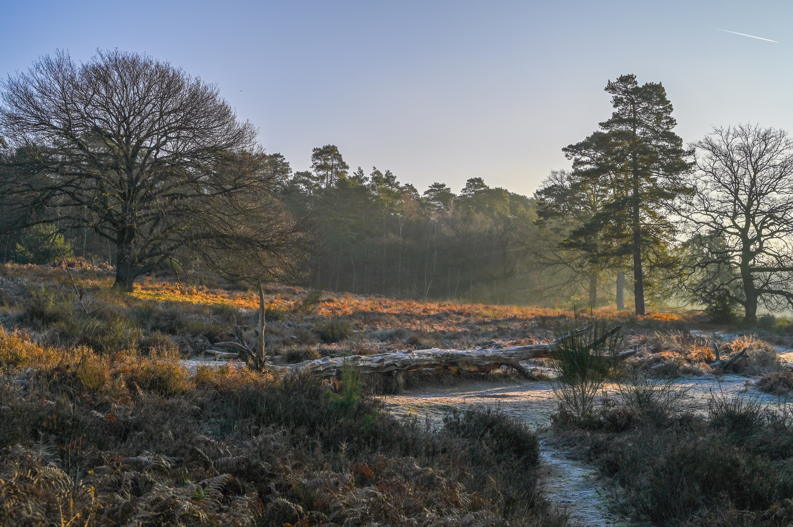 Wintermorgen 