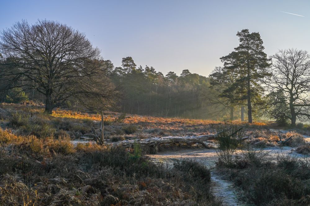 Wintermorgen 