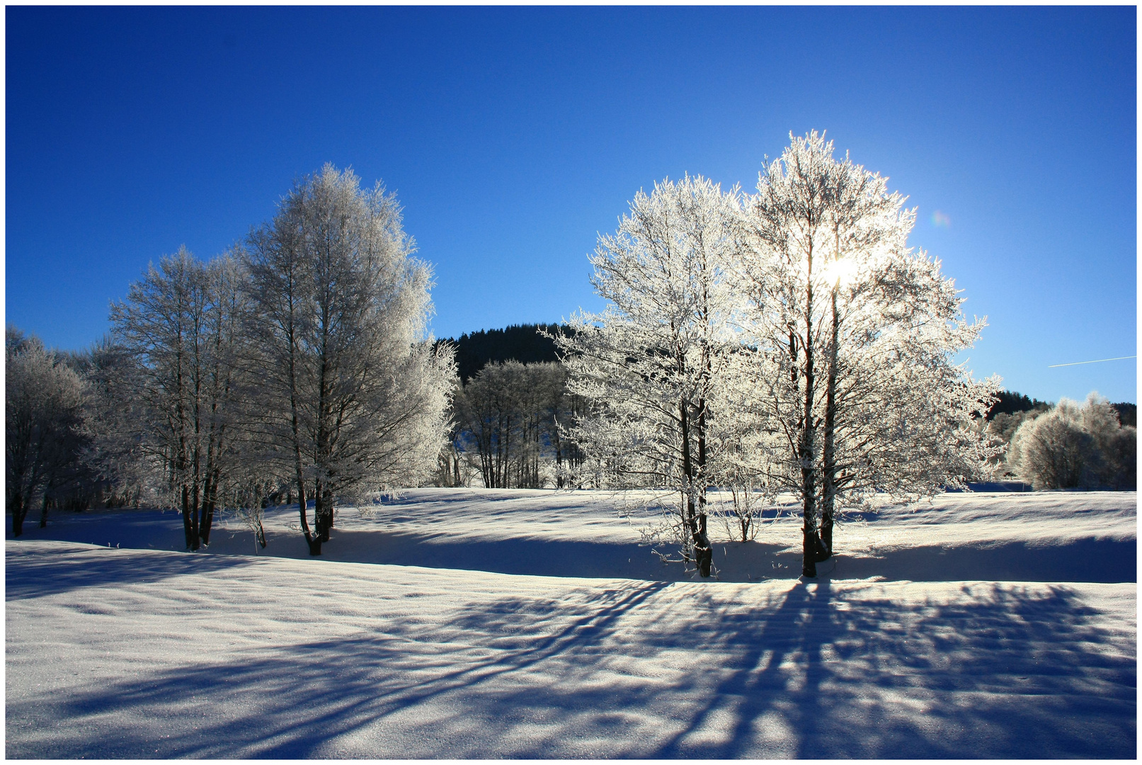 Wintermorgen