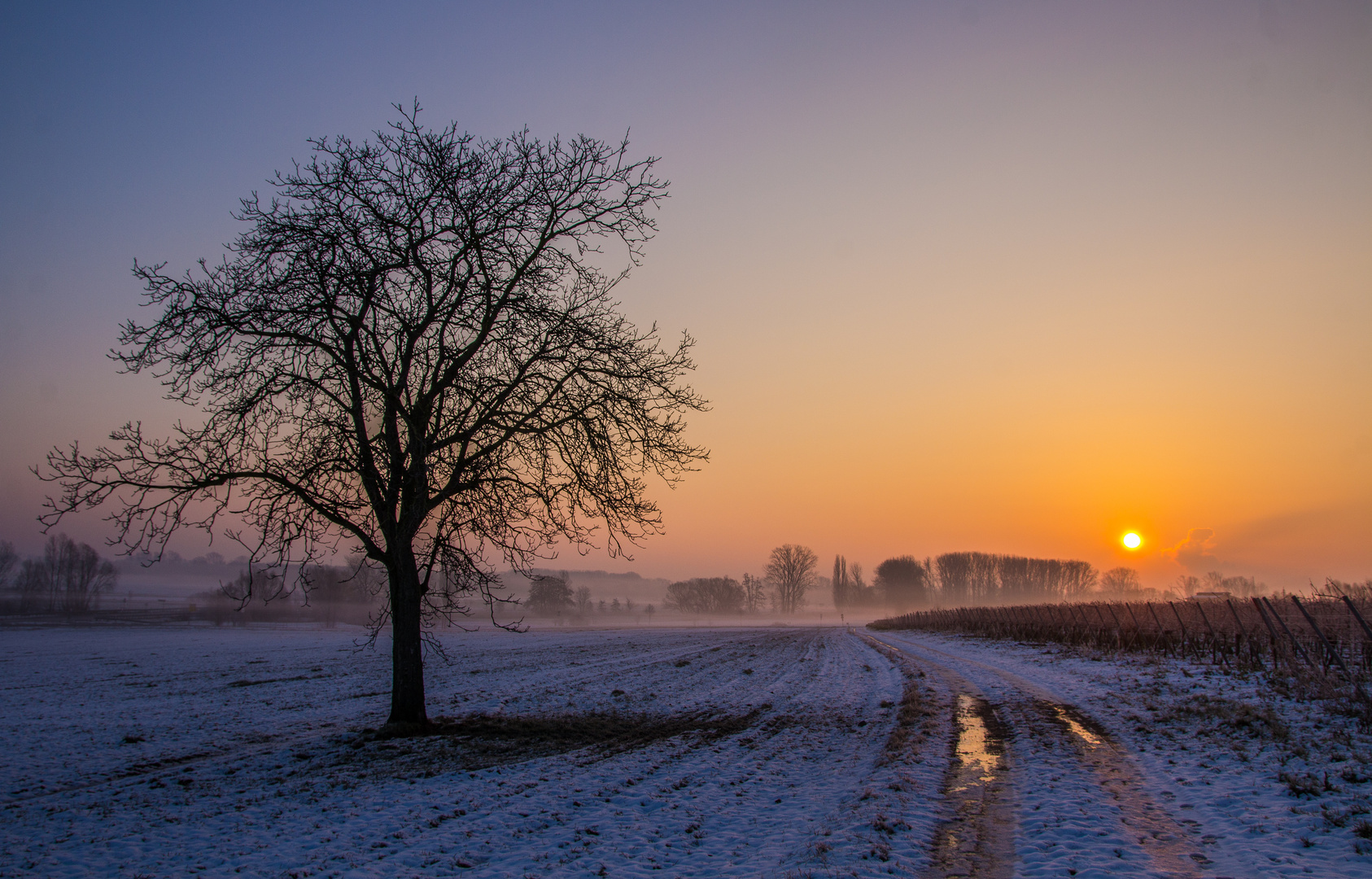 Wintermorgen