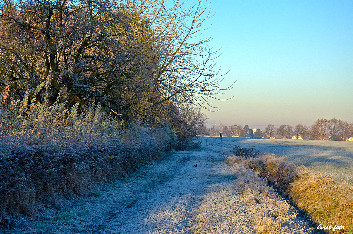 Wintermorgen