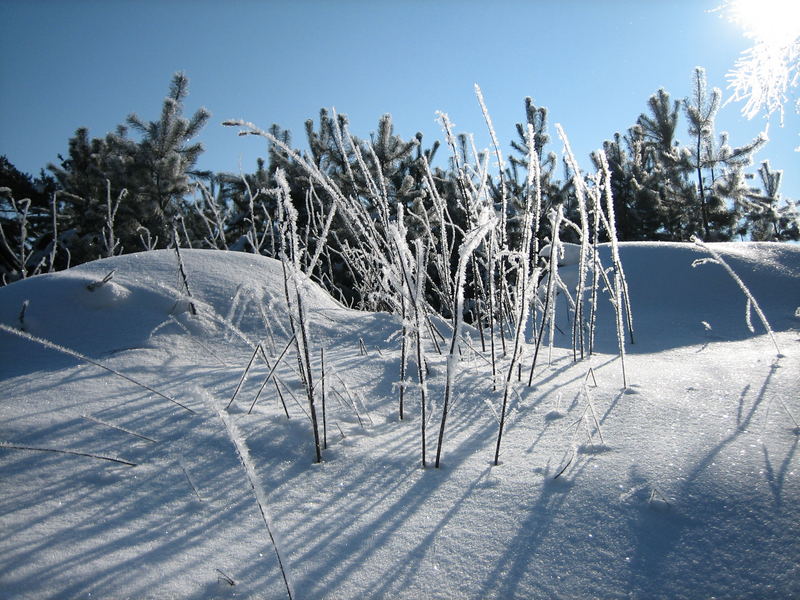 Wintermorgen