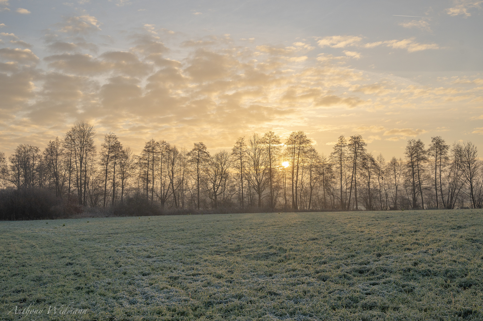 Wintermorgen