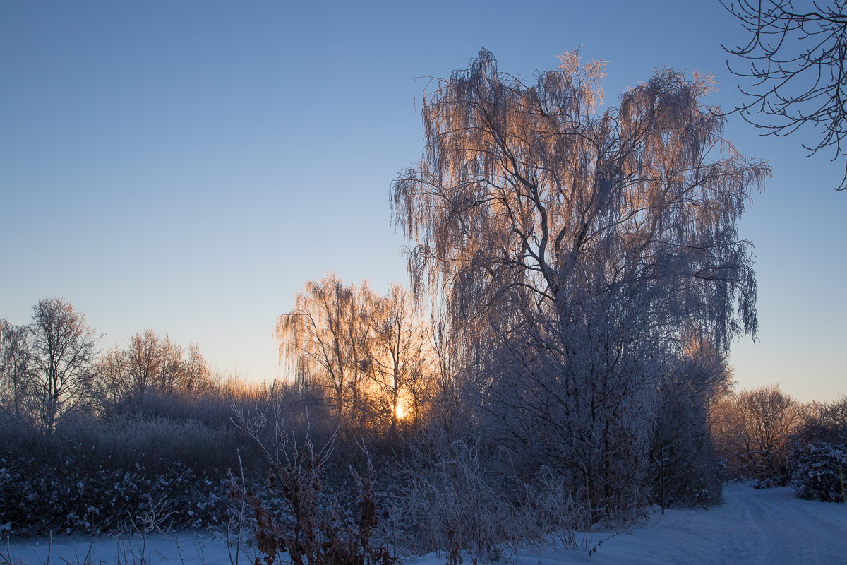 Wintermorgen