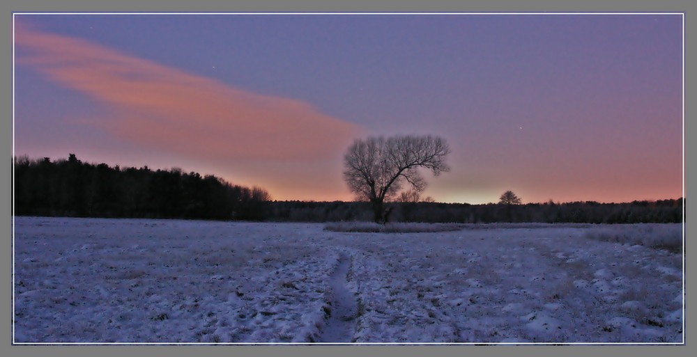 Wintermorgen