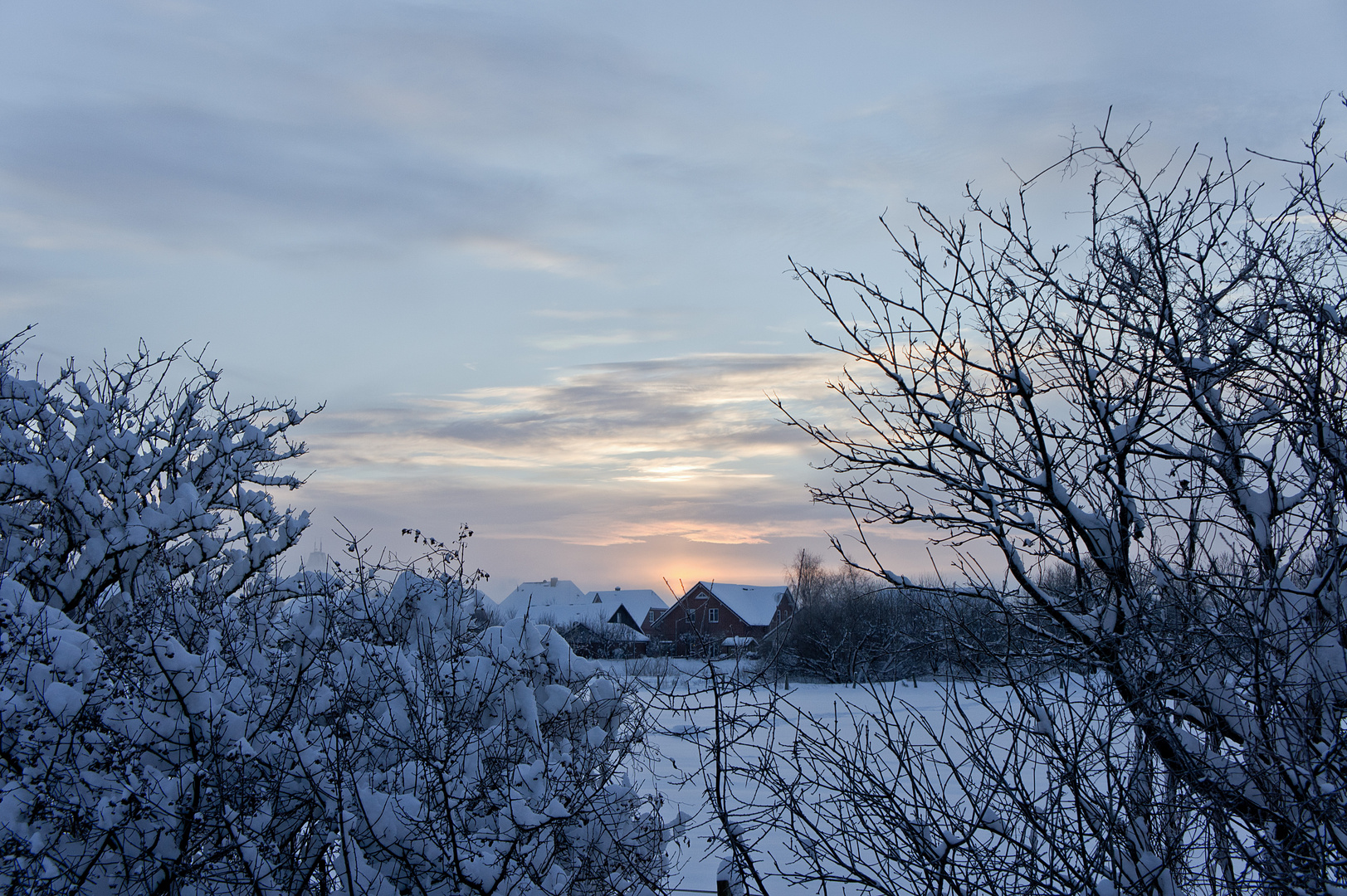 Wintermorgen