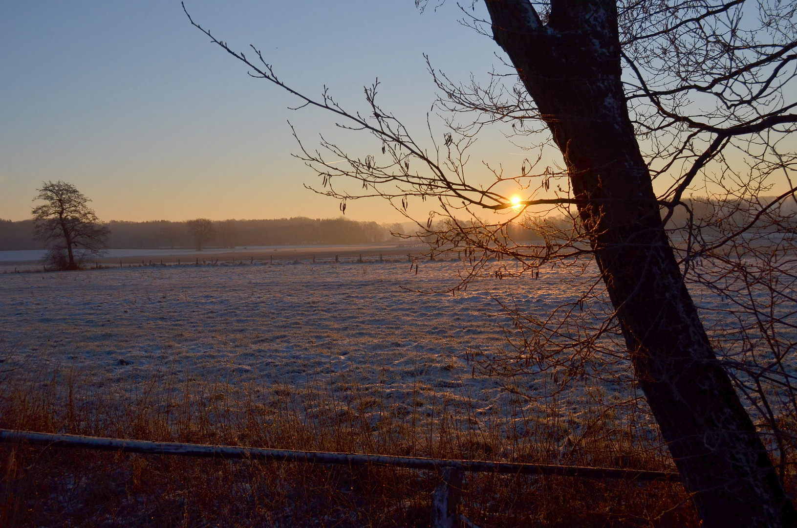 Wintermorgen