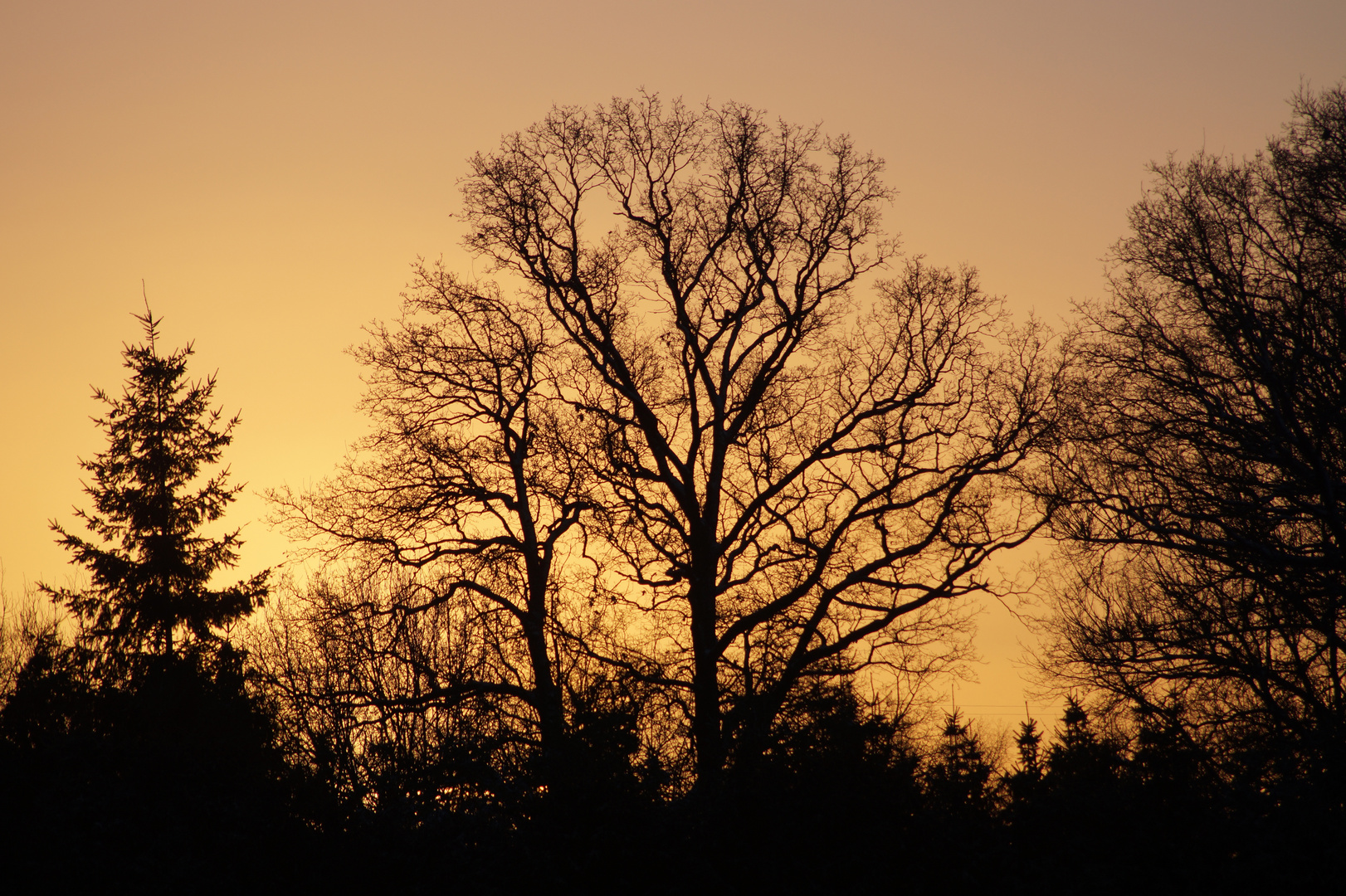 Wintermorgen