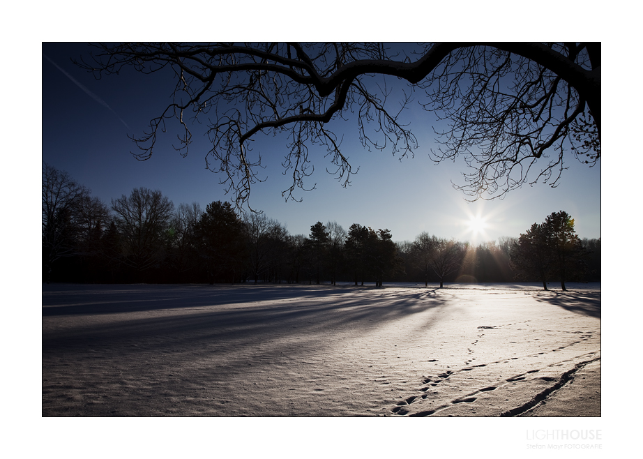 Wintermorgen