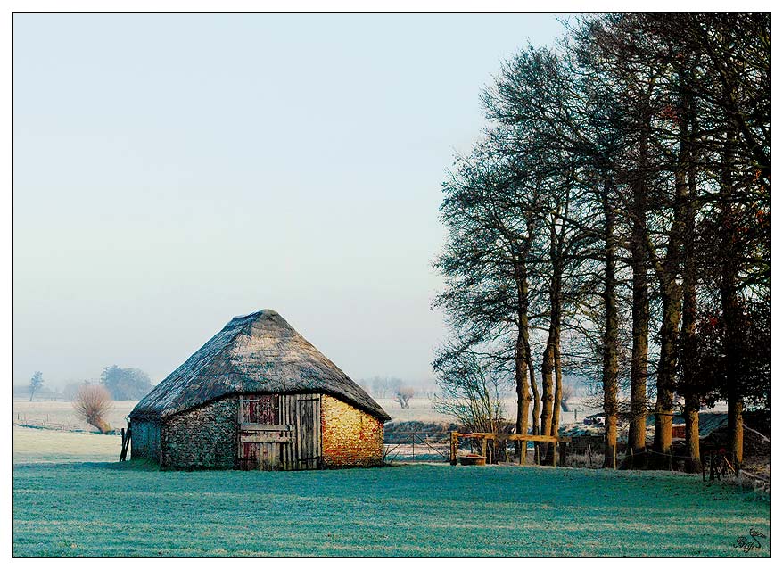 Wintermorgen