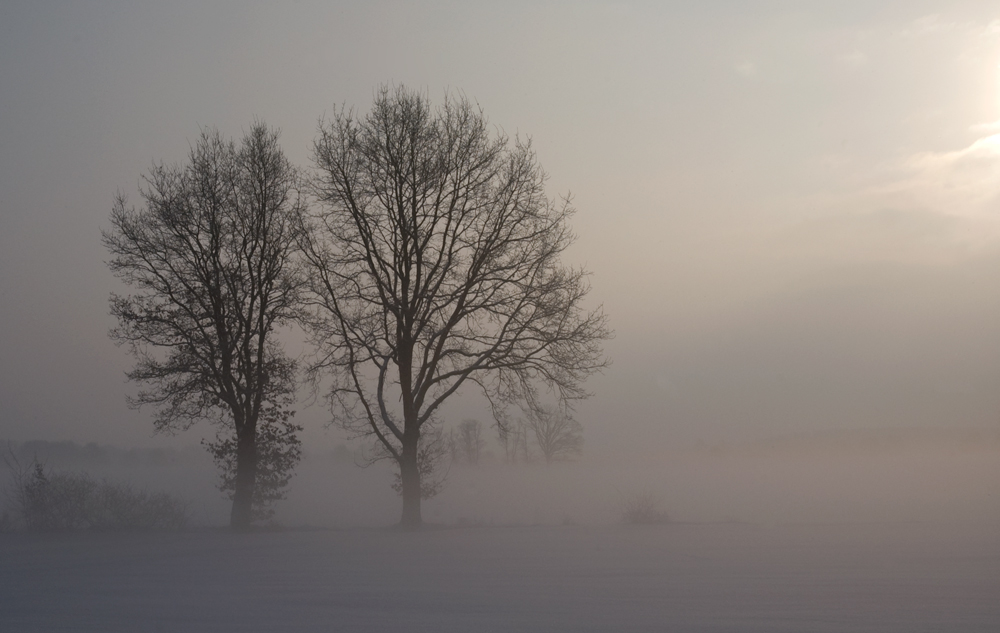 Wintermorgen