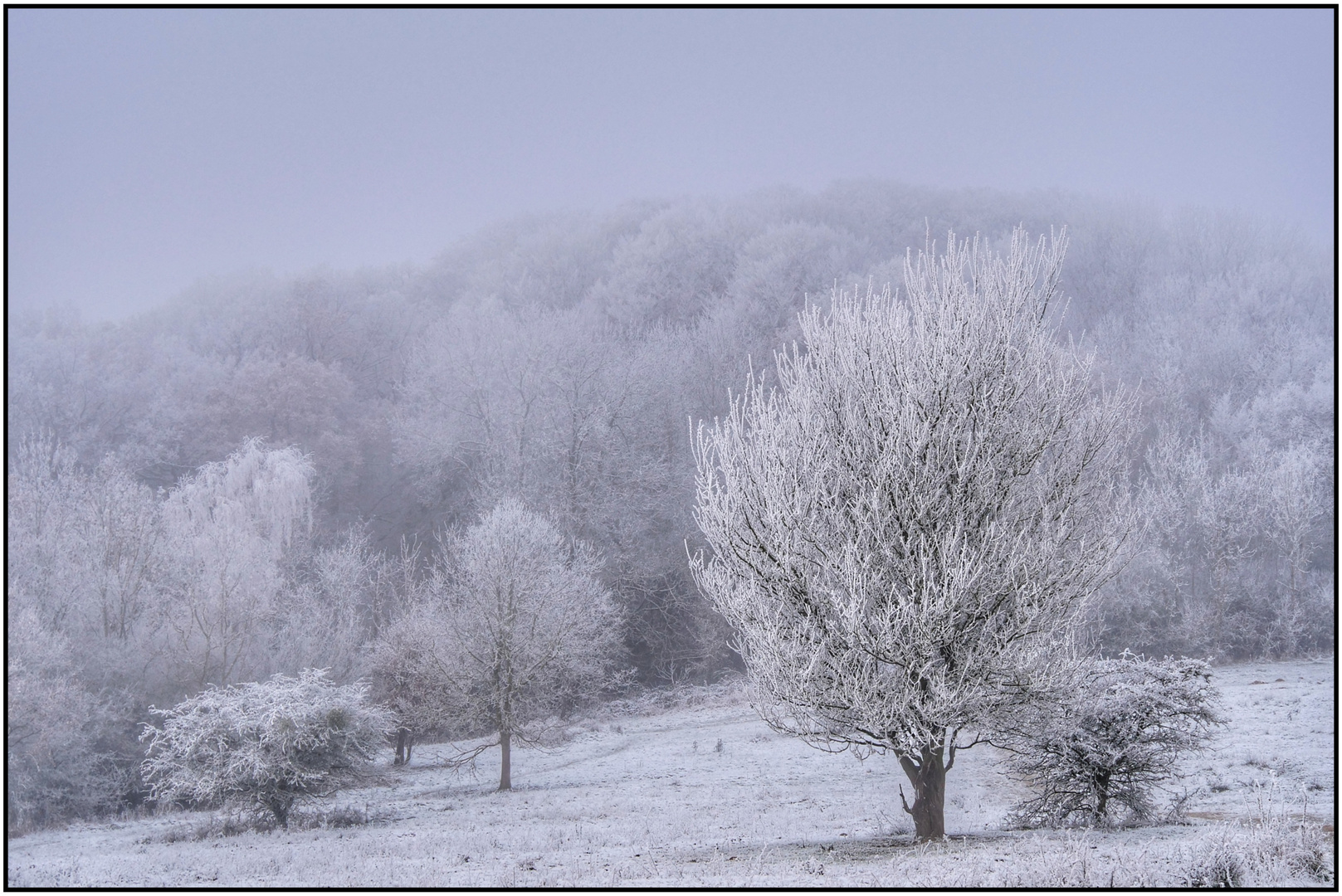 Wintermorgen