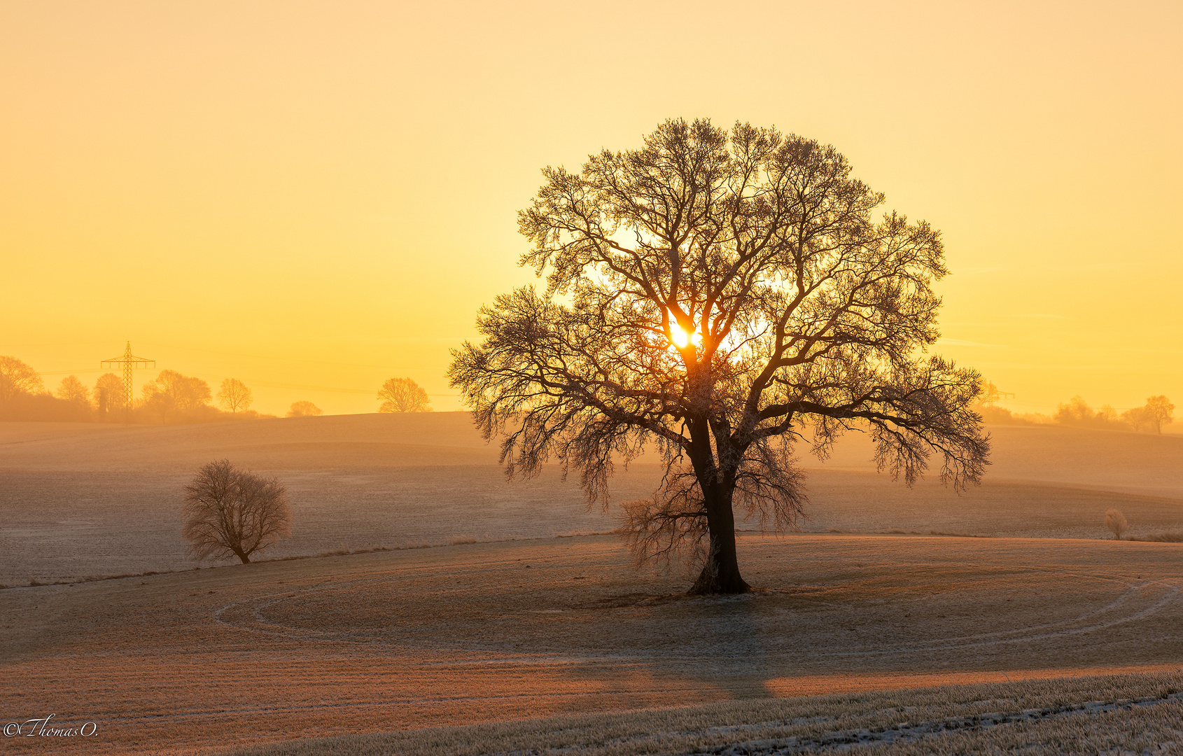 Wintermorgen